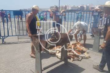 Melenara rememora el chinchorro y la varada del pescado (Foto TA)
